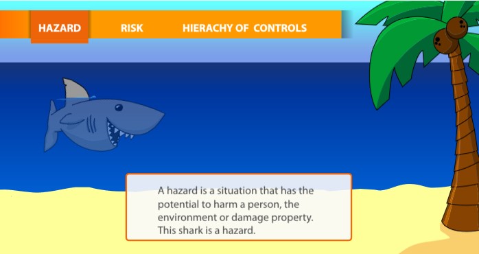 A picture of the Shark Hierarchy of Controls activity